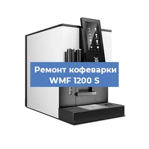 Чистка кофемашины WMF 1200 S от накипи в Волгограде